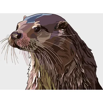 ZUTY Malování podle čísel - MALOVANÁ VYDRA Rozměr: 40x50 cm, Rámování: bez rámu a bez vypnutí plátna