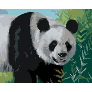 ZUTY Malování podle čísel - PANDA (D. RUSTY RUST) Rozměr: 40x50 cm, Rámování: bez rámu a bez vypnutí plátna
