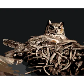 ZUTY Malování podle čísel - SOVA V HNÍZDĚ V NOCI (D. RUSTY RUST) Rozměr: 40x50 cm, Rámování: bez rámu a bez vypnutí plátna