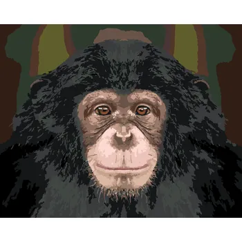 ZUTY Malování podle čísel - PORTRÉT ŠIMPANZE Rozměr: 40x50 cm, Rámování: bez rámu a bez vypnutí plátna