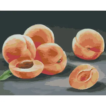 ZUTY Malování podle čísel - MERUŇKY (MYROSLAVA VOLOSCHUK) Rozměr: 40x50 cm, Rámování: bez rámu a bez vypnutí plátna