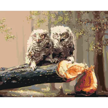 ZUTY Malování podle čísel - MLÁĎATA SOVY NA POKÁCENÉM STROMĚ (D. RUSTY RUST) Rozměr: 40x50 cm, Rámování: vypnuté plátno na rám