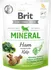 Pamlsek pro psa Brit Care Dog Functional Snack Mineral Ham Puppies 150 g 