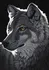 Puzzle Grafika Noční vlk 1000 dílků