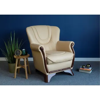 Křeslo Kožené křeslo FREDERIK 2