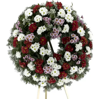 Věnec Smuteční věnec barevné kopretinové chryzantémy červené 50 květů