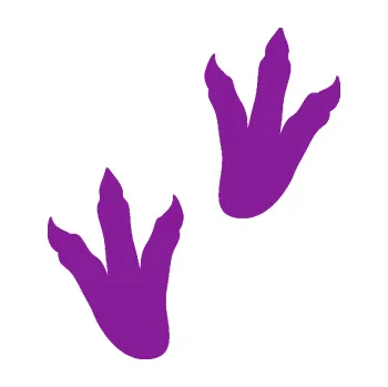 Samolepící dekorace Dinosaurus stopy 001 pravá (14 - fialová) SAMOLEPKA NA AUTO, NÁLEPKA, FÓLIE, POLEP, TUNING, VLASTNÍ TEXT, TISK, AUTOSAMOLEPKY.cz, POLEPY, OBRÁZEK, LOGO, 3D STICKERS