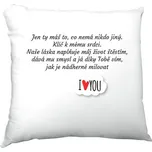 Polštář saténový s potiskem Polštář pro zamilované