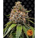 Barney's Farm White Widow XXL Balení: 10ks