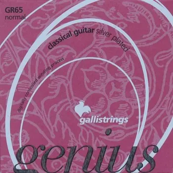Struna pro kytaru a smyčcový nástroj Galli Genius GR-65, Struny na klasickou kytaru