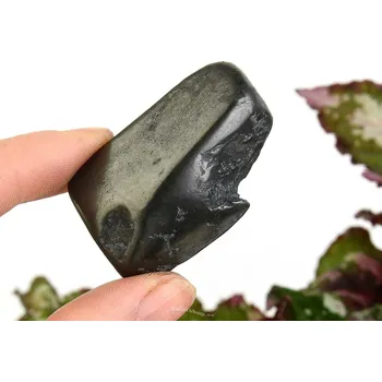 Sběratelství Kámen z hladkého šungitu z Ruska 20g