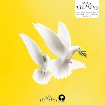 Zahraniční hudba Skepta - Cant Play Myself (A Tribute To Amy) - 12" Vinyl