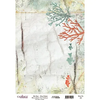 Umělecký papír Cadence Rýžový papír Cadence, A4 - Mořské korály