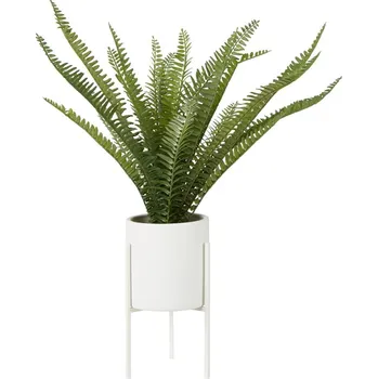 umělá květina Umělá kapradina (výška 56 cm) Fiori – Premier Housewares ID_1356797