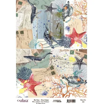 Umělecký papír Cadence Rýžový papír Cadence, A3 - Želvy a velryby
