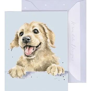Wrendale Designs Dárková kartička Wrendale Designs "Golden Boy" - Pes, zlatý retrívr