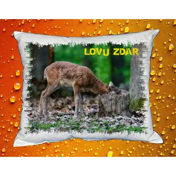 Dekorativní polštářek Polštářek pro myslivce č. 69 (MYSLIVECKÝ POLŠTÁŘ)