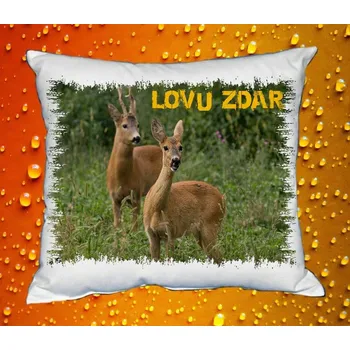 Dekorativní polštářek Polštářek pro myslivce č. 18