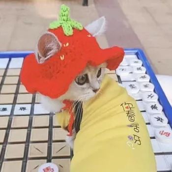 Klobouk Veselý pletený klobouk pro mazlíčky - Jahoda,M