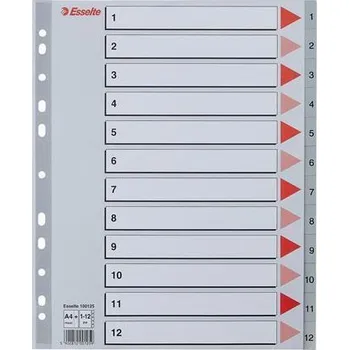 Archivační box Barevné rejstříky, šedá, A4 Maxi, plast, 1-12, ESSELTE