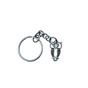 DCH Kovový přívěsek na klíče - sova