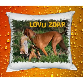 Dekorativní polštářek Polštářek pro myslivce č. 13
