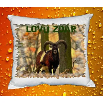 Dekorativní polštářek Polštářek pro myslivce č. 34