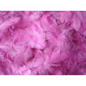 Svatební dekorace Svatba-eshop Dekorační peří fialovo růžové - peříčka fialovo růžová