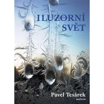 Iluzorní svět - Pavel Tesárek