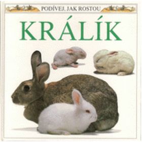 Obrázek k inzerátu: Králík (Watts, Barrie,Roháčová, Kvetoslava)