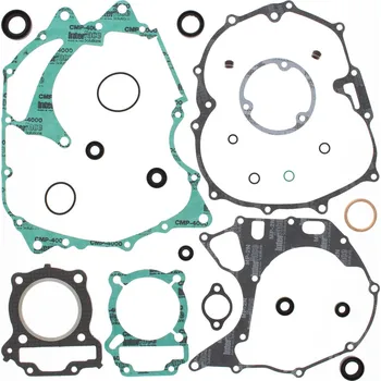 Těsnění motoru Sada těsnění motoru kompletní vč. gufer motoru WINDEROSA CGKOS 811817