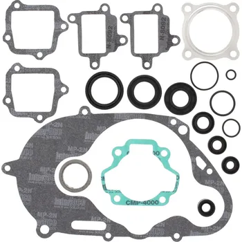 Těsnění motoru Sada těsnění motoru kompletní vč. gufer motoru WINDEROSA CGKOS 811615