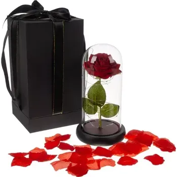 umělá květina Zaparkorun Svítící věčná růže