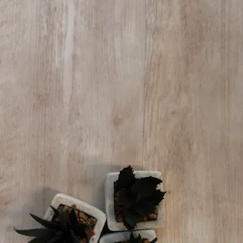 vinylová podlaha Vitro DV 4507 3,6635 m²