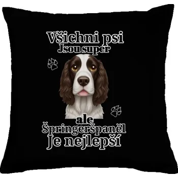 Pánská móda Polštář bavlněný s potiskem Nejlepší špringeršpaněl