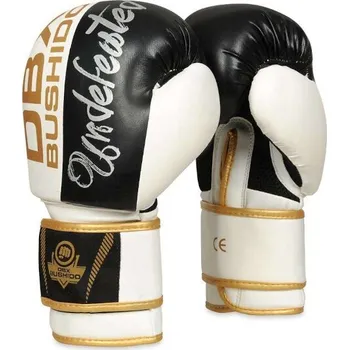 Chránič rukou Boxerské rukavice DBX BUSHIDO B-2v16 10oz