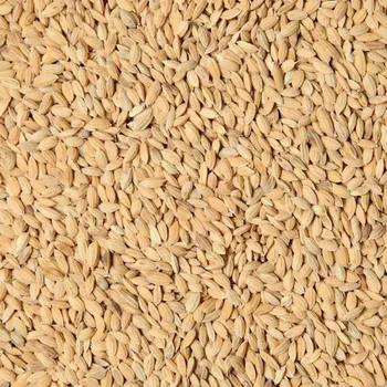 Krmivo pro ptáka Fauna Hradil Paddy rýže Hmotnost: 10 kg