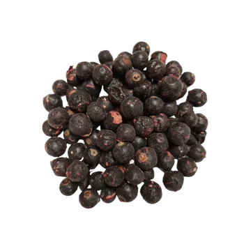 Sušené ovoce Černý rybíz sušený mrazem (lyofilizovaný), balení 100 g