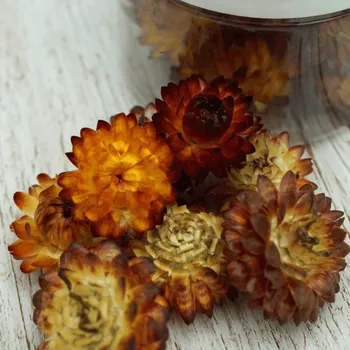 Jedlá dekorace na dort Sugar and Cakes ROSIE ROSE - SUŠENÉ SLAMĚNÉ KVĚTY MĚDĚNÉ 15ks