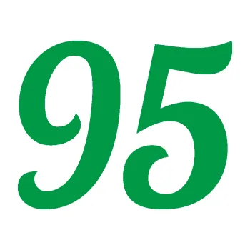 Polep vozidla Startovní číslo 95 typ 3 (12 - zelená) SAMOLEPKA NA AUTO, NÁLEPKA, FÓLIE, POLEP, TUNING, VLASTNÍ TEXT, TISK, AUTOSAMOLEPKY.cz, POLEPY, OBRÁZEK, LOGO, 3D STICKERS