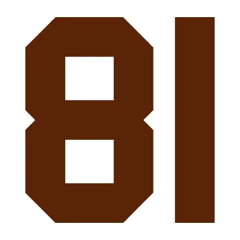 Polep vozidla Startovní číslo 81 (15 - hnědá) SAMOLEPKA NA AUTO, NÁLEPKA, FÓLIE, POLEP, TUNING, VLASTNÍ TEXT, TISK, AUTOSAMOLEPKY.cz, POLEPY, OBRÁZEK, LOGO, 3D STICKERS