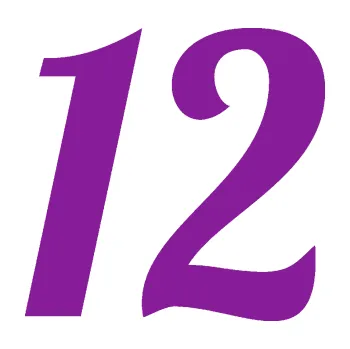 Polep vozidla Startovní číslo 12 typ 3 (14 - fialová) SAMOLEPKA NA AUTO, NÁLEPKA, FÓLIE, POLEP, TUNING, VLASTNÍ TEXT, TISK, AUTOSAMOLEPKY.cz, POLEPY, OBRÁZEK, LOGO, 3D STICKERS