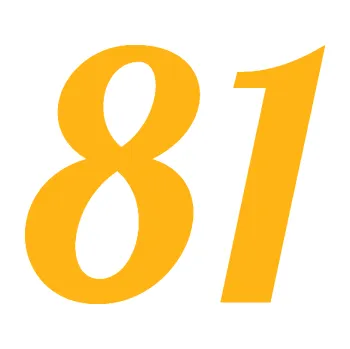 Polep vozidla Startovní číslo 81 typ 3 (21 - světle oranžová) SAMOLEPKA NA AUTO, NÁLEPKA, FÓLIE, POLEP, TUNING, VLASTNÍ TEXT, TISK, AUTOSAMOLEPKY.cz, POLEPY, OBRÁZEK, LOGO, 3D STICKERS