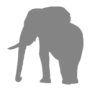 Samolepící dekorace SAMOLEPKA Slon 007 levá (17 - šedá) NA AUTO, NÁLEPKA, FÓLIE, POLEP, TUNING, VLASTNÍ TEXT, TISK, AUTOSAMOLEPKY.cz, POLEPY, OBRÁZEK, LOGO, SAMOLEPKY