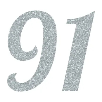 Polep vozidla Startovní číslo 91 typ 3 (91 - Ultra Metalic stříbrná metalíza) SAMOLEPKA NA AUTO, NÁLEPKA, FÓLIE, POLEP, TUNING, VLASTNÍ TEXT, TISK, AUTOSAMOLEPKY.cz, POLEPY, OBRÁZEK, LOGO, 3D STICKERS