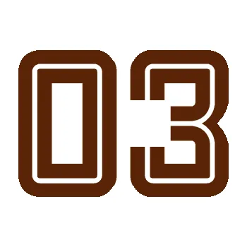 Polep vozidla Startovní číslo 03 typ 7 (15 - hnědá) SAMOLEPKA NA AUTO, NÁLEPKA, FÓLIE, POLEP, TUNING, VLASTNÍ TEXT, TISK, AUTOSAMOLEPKY.cz, POLEPY, OBRÁZEK, LOGO, 3D STICKERS