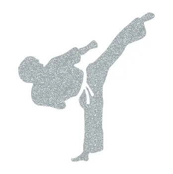 Polep vozidla SAMOLEPKA NA AUTO Taekwondo 001 pravá (91 - Ultra Metalic stříbrná metalíza) NÁLEPKA, FÓLIE, POLEP, TUNING, VLASTNÍ TEXT, TISK, AUTOSAMOLEPKY.cz, POLEPY, OBRÁZEK, LOGO, SAMOLEPKY