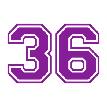 Polep vozidla Startovní číslo 36 typ 4 (14 - fialová) SAMOLEPKA NA AUTO, NÁLEPKA, FÓLIE, POLEP, TUNING, VLASTNÍ TEXT, TISK, AUTOSAMOLEPKY.cz, POLEPY, OBRÁZEK, LOGO, 3D STICKERS