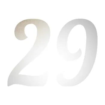 Polep vozidla SAMOLEPKA Startovní číslo 29 typ 3 (82 - odrazková reflexní bílá) NA AUTO, NÁLEPKA, FÓLIE, POLEP, TUNING, VLASTNÍ TEXT, TISK, AUTOSAMOLEPKY.cz, POLEPY, OBRÁZEK, LOGO, SAMOLEPKY