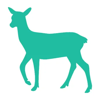 Samolepící dekorace SAMOLEPKA Srna 003 levá (25 - tyrkysová) NA AUTO, NÁLEPKA, FÓLIE, POLEP, TUNING, VLASTNÍ TEXT, TISK, AUTOSAMOLEPKY.cz, POLEPY, OBRÁZEK, LOGO, SAMOLEPKY